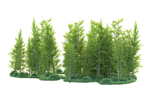 Orman ıssız. Afişler, posterler ya da fotoğraf manipülasyonları için kullanışlı bir görüntü. 3d oluşturma.