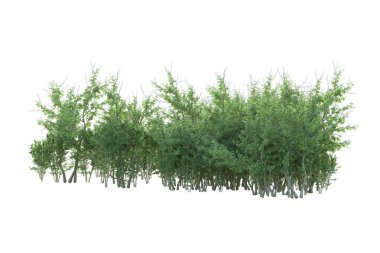 Orman ıssız. Afişler, posterler ya da fotoğraf manipülasyonları için kullanışlı bir görüntü. 3d oluşturma.