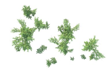 Orman ıssız. Afişler, posterler ya da fotoğraf manipülasyonları için kullanışlı bir görüntü. 3d oluşturma.