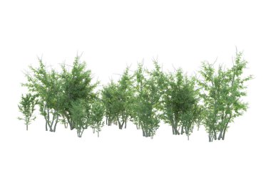 Orman ıssız. Afişler, posterler ya da fotoğraf manipülasyonları için kullanışlı bir görüntü. 3d oluşturma.