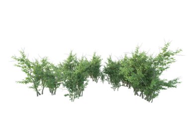 Orman ıssız. Afişler, posterler ya da fotoğraf manipülasyonları için kullanışlı bir görüntü. 3d oluşturma.