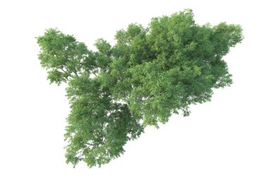 Orman ıssız. Afişler, posterler ya da fotoğraf manipülasyonları için kullanışlı bir görüntü. 3d oluşturma.