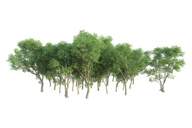 Orman ıssız. Afişler, posterler ya da fotoğraf manipülasyonları için kullanışlı bir görüntü. 3d oluşturma.