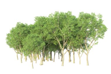 Orman ıssız. Afişler, posterler ya da fotoğraf manipülasyonları için kullanışlı bir görüntü. 3d oluşturma.