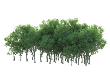 Orman ıssız. Afişler, posterler ya da fotoğraf manipülasyonları için kullanışlı bir görüntü. 3d oluşturma.