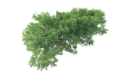 Orman ıssız. Afişler, posterler ya da fotoğraf manipülasyonları için kullanışlı bir görüntü. 3d oluşturma.