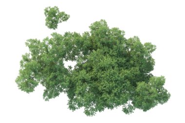 Orman ıssız. Afişler, posterler ya da fotoğraf manipülasyonları için kullanışlı bir görüntü. 3d oluşturma.