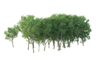 Orman ıssız. Afişler, posterler ya da fotoğraf manipülasyonları için kullanışlı bir görüntü. 3d oluşturma.