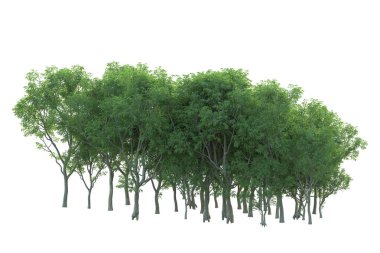 Orman ıssız. Afişler, posterler ya da fotoğraf manipülasyonları için kullanışlı bir görüntü. 3d oluşturma.