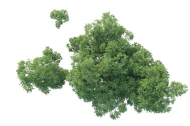 Orman ıssız. Afişler, posterler ya da fotoğraf manipülasyonları için kullanışlı bir görüntü. 3d oluşturma.