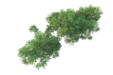 Orman ıssız. Afişler, posterler ya da fotoğraf manipülasyonları için kullanışlı bir görüntü. 3d oluşturma.