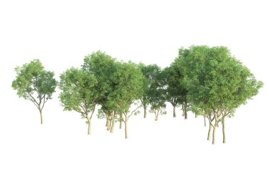 Orman ıssız. Afişler, posterler ya da fotoğraf manipülasyonları için kullanışlı bir görüntü. 3d oluşturma.