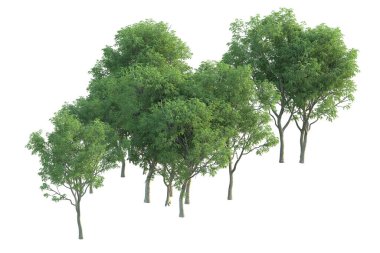 Orman ıssız. Afişler, posterler ya da fotoğraf manipülasyonları için kullanışlı bir görüntü. 3d oluşturma.