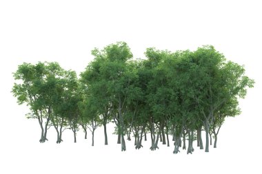 Orman ıssız. Afişler, posterler ya da fotoğraf manipülasyonları için kullanışlı bir görüntü. 3d oluşturma.