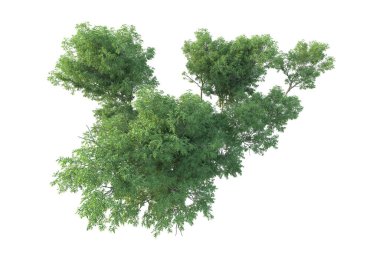 Orman ıssız. Afişler, posterler ya da fotoğraf manipülasyonları için kullanışlı bir görüntü. 3d oluşturma.