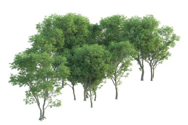 Orman ıssız. Afişler, posterler ya da fotoğraf manipülasyonları için kullanışlı bir görüntü. 3d oluşturma.