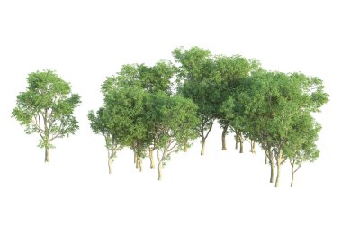 Orman ıssız. Afişler, posterler ya da fotoğraf manipülasyonları için kullanışlı bir görüntü. 3d oluşturma.