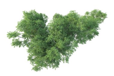 Orman ıssız. Afişler, posterler ya da fotoğraf manipülasyonları için kullanışlı bir görüntü. 3d oluşturma.