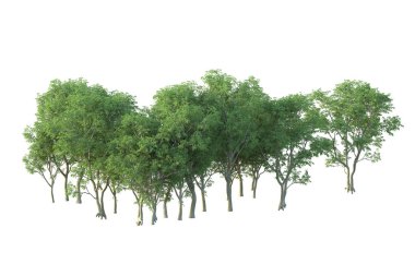 Orman ıssız. Afişler, posterler ya da fotoğraf manipülasyonları için kullanışlı bir görüntü. 3d oluşturma.