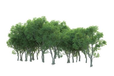 Orman ıssız. Afişler, posterler ya da fotoğraf manipülasyonları için kullanışlı bir görüntü. 3d oluşturma.