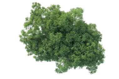 Orman ıssız. Afişler, posterler ya da fotoğraf manipülasyonları için kullanışlı bir görüntü. 3d oluşturma.