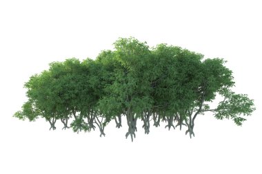 Orman ıssız. Afişler, posterler ya da fotoğraf manipülasyonları için kullanışlı bir görüntü. 3d oluşturma.