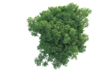 Orman ıssız. Afişler, posterler ya da fotoğraf manipülasyonları için kullanışlı bir görüntü. 3d oluşturma.