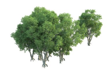 Orman ıssız. Afişler, posterler ya da fotoğraf manipülasyonları için kullanışlı bir görüntü. 3d oluşturma.