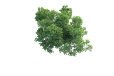 Orman ıssız. Afişler, posterler ya da fotoğraf manipülasyonları için kullanışlı bir görüntü. 3d oluşturma.