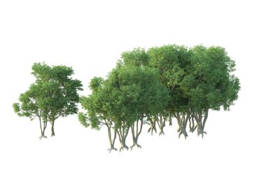 Orman ıssız. Afişler, posterler ya da fotoğraf manipülasyonları için kullanışlı bir görüntü. 3d oluşturma.