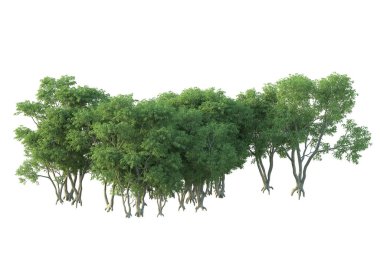 Orman ıssız. Afişler, posterler ya da fotoğraf manipülasyonları için kullanışlı bir görüntü. 3d oluşturma.