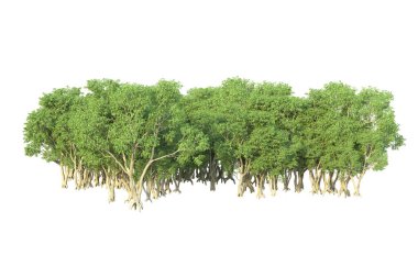 Orman ıssız. Afişler, posterler ya da fotoğraf manipülasyonları için kullanışlı bir görüntü. 3d oluşturma.