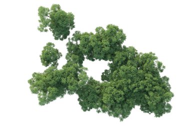 Orman ıssız. Afişler, posterler ya da fotoğraf manipülasyonları için kullanışlı bir görüntü. 3d oluşturma.