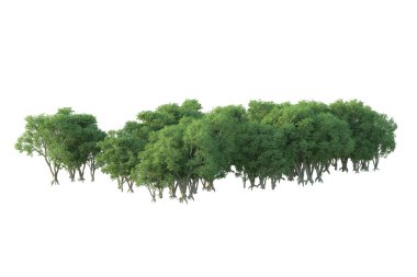 Orman ıssız. Afişler, posterler ya da fotoğraf manipülasyonları için kullanışlı bir görüntü. 3d oluşturma.