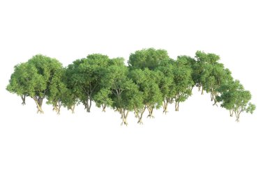 Orman ıssız. Afişler, posterler ya da fotoğraf manipülasyonları için kullanışlı bir görüntü. 3d oluşturma.