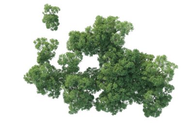 Orman ıssız. Afişler, posterler ya da fotoğraf manipülasyonları için kullanışlı bir görüntü. 3d oluşturma.