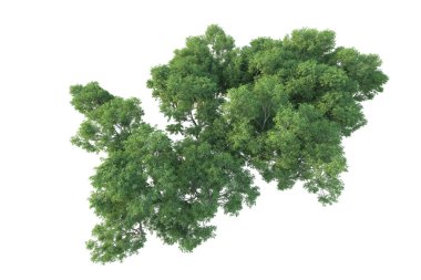 Orman ıssız. Afişler, posterler ya da fotoğraf manipülasyonları için kullanışlı bir görüntü. 3d oluşturma.