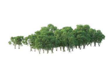 Orman ıssız. Afişler, posterler ya da fotoğraf manipülasyonları için kullanışlı bir görüntü. 3d oluşturma.