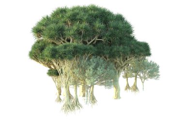 Orman beyaz arka planda izole edilmiş. 3d görüntüleme - illüstrasyon