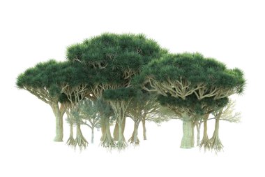Orman beyaz arka planda izole edilmiş. 3d görüntüleme - illüstrasyon
