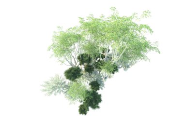 Orman beyaz arka planda izole edilmiş. 3d görüntüleme - illüstrasyon