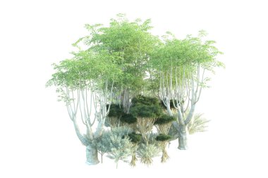 Orman beyaz arka planda izole edilmiş. 3d görüntüleme - illüstrasyon