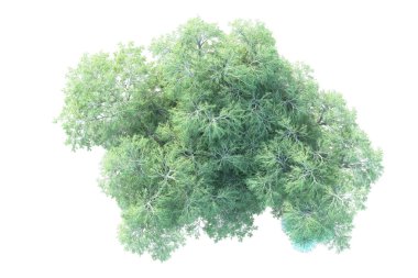 Orman beyaz arka planda izole edilmiş. 3d görüntüleme - illüstrasyon