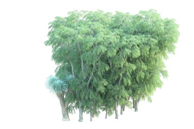 Orman beyaz arka planda izole edilmiş. 3d görüntüleme - illüstrasyon