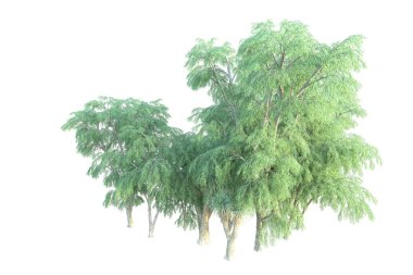 Orman beyaz arka planda izole edilmiş. 3d görüntüleme - illüstrasyon