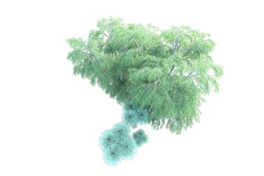 Orman beyaz arka planda izole edilmiş. 3d görüntüleme - illüstrasyon