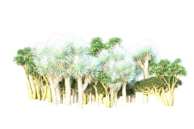 Orman beyaz arka planda izole edilmiş. 3d görüntüleme - illüstrasyon