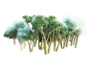 Orman beyaz arka planda izole edilmiş. 3d görüntüleme - illüstrasyon