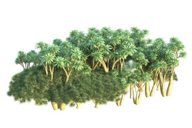 Orman beyaz arka planda izole edilmiş. 3d görüntüleme - illüstrasyon