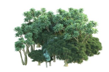 Orman beyaz arka planda izole edilmiş. 3d görüntüleme - illüstrasyon